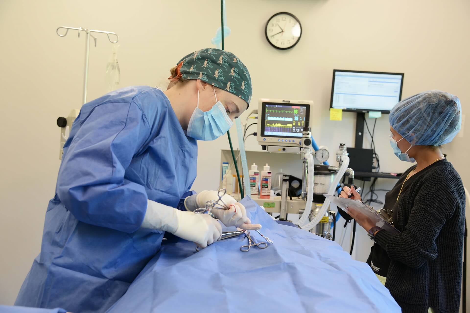 Pet Surgery In Morristown, NJ 07960 Morristown Animal Hospital