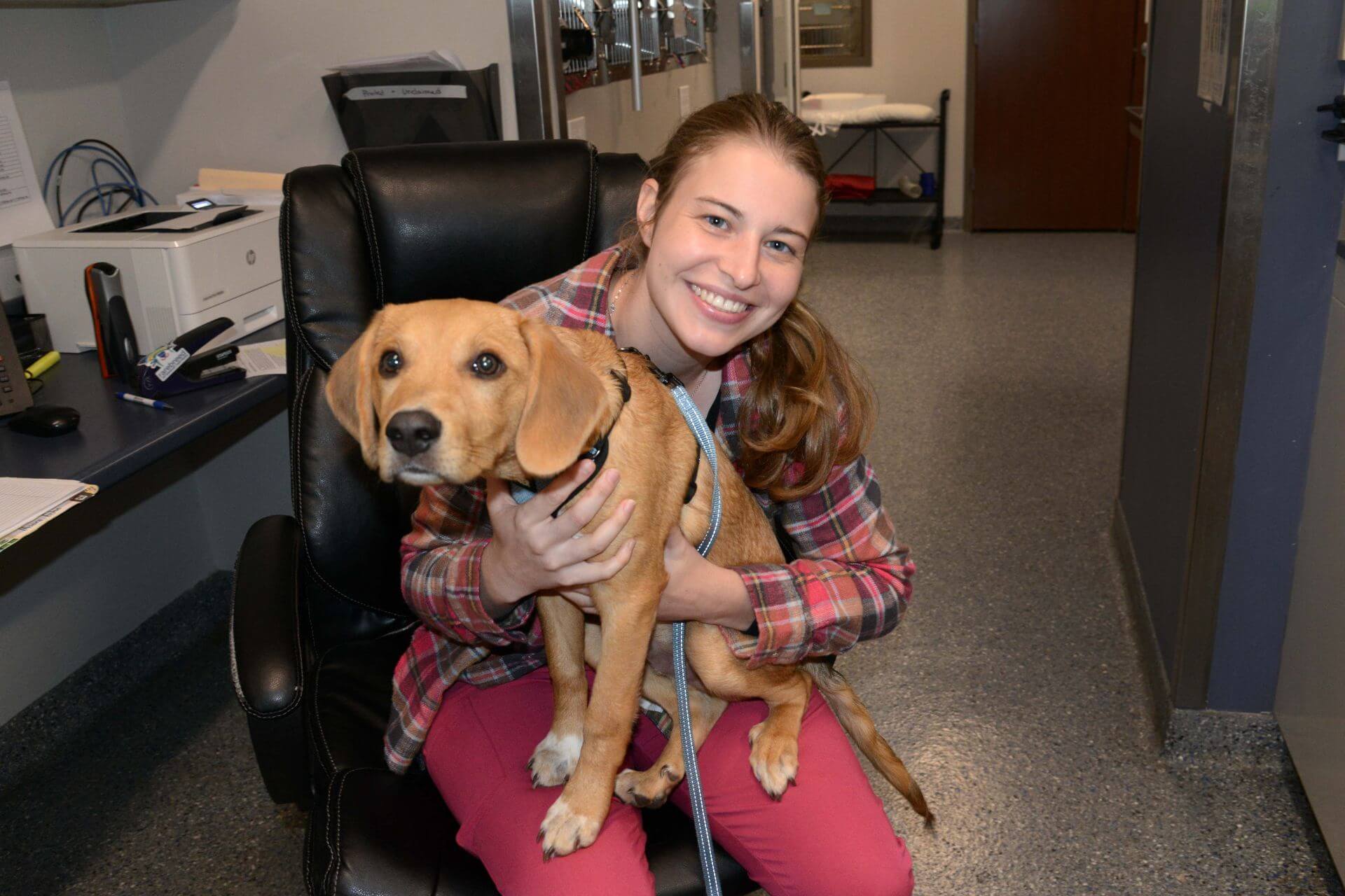 Female vet holding a dog