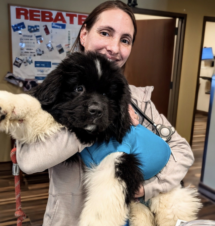 photo coming soon graphic