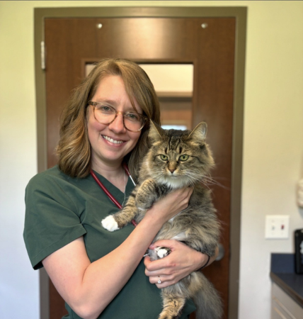 photo coming soon graphic